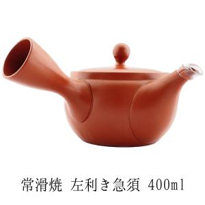 常滑焼 朱泥急須 梅 ※ステンレス製茶漉し付き (和食器 ポット 茶器 朱