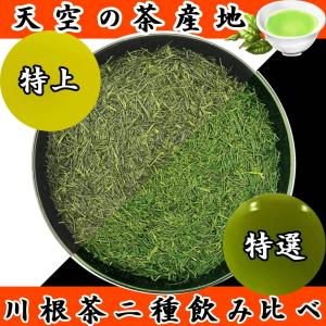 特選川根茶 100g×2袋 2025年産 静岡茶 静岡茶名産地シリーズ 生粋川根