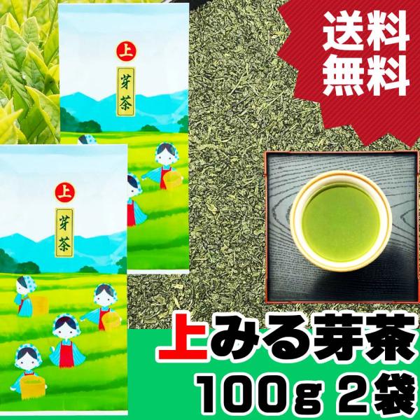 2026新茶 上みる芽茶 100g×2袋 静岡茶 一番茶の新芽を使用 め茶 お茶