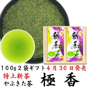 特選川根茶 100g×2袋 2025年産 静岡茶 静岡茶名産地シリーズ 生粋川根