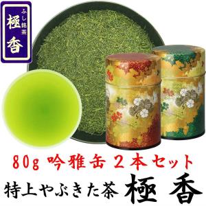 2026新茶 特選川根茶 100g×2袋 静岡茶 静岡茶名産地シリーズ 生粋川根