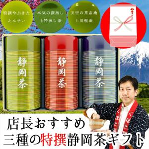 特選川根茶 100g×2袋 2025年産 静岡茶 静岡茶名産地シリーズ 生粋川根