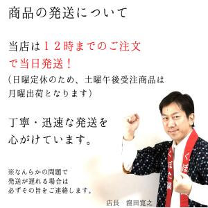 湯冷まし 宗山 朱泥 230ml さまし 趣味の茶器の詳細画像5