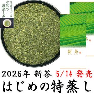 2026新茶 特上川根茶 100g×3袋 静岡茶 静岡茶名産地シリーズ 生粋川根
