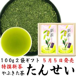 特撰やぶきた茶 たんせい 100g×2袋 平箱詰め贈答品 2025年産 静岡茶ギフト プレミアムブレンド 一番摘み ラッピング無料