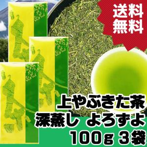 特上川根茶 100g×3袋 2025年産 静岡茶 静岡茶名産地シリーズ 生粋川根