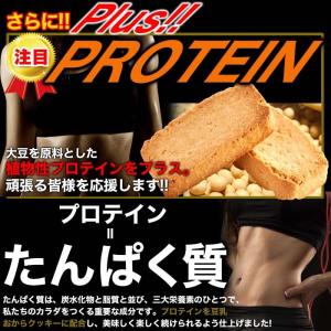 豆乳おからプロテインクッキー1kg/ダイエット...の詳細画像2