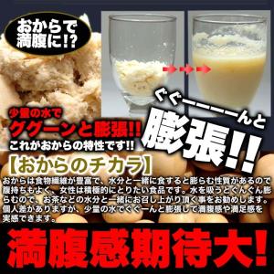 豆乳おからプロテインクッキー1kg/ダイエット...の詳細画像4