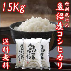 新米 令和7年産 魚沼産コシヒカリ 5kg×3 うまい米 米 お米 極上 米高級 Aランク 15kg...