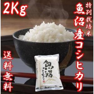 令和5年産 新米 魚沼産コシヒカリ 2kg 米 お米 うまい米 極上 米高級 Aランク 白米 2キロ 送料無料 新潟コシヒカリ 贈答用 贈り物 ギフト 新潟県 ポイント消化