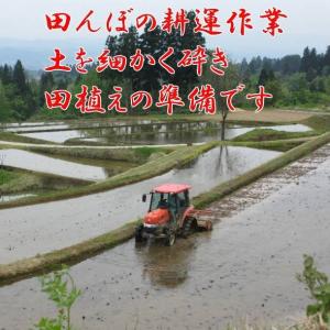 令和8年産 新米 魚沼産コシヒカリ 2kg 米...の詳細画像3