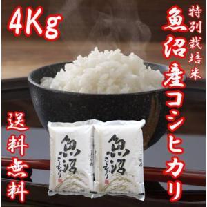 令和8年産 新米 魚沼産コシヒカリ 2kg×2袋...の商品画像