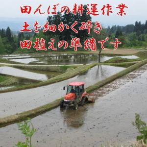令和8年産 新米 魚沼産コシヒカリ 2kg×2...の詳細画像3