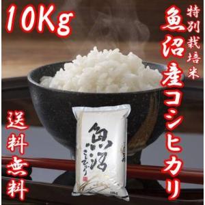 コシヒカリ 令和7年産 魚沼産コシヒカリ 米 5kg お米 5kg 白米 送料