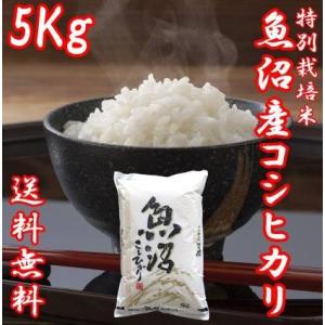 令和5年産 新米 魚沼産コシヒカリ 米 5kg お米 5kg 白米 送料無料 うまい米 極上 米高級...