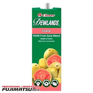 デュウランド グァバジュース 1L DEWLANDS 母の日 父の日 就職 退職 ギフト 御祝 熨斗｜fujimatsu-store