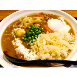 創味のカレー 1kg(1000g) レトルトカ...の詳細画像1