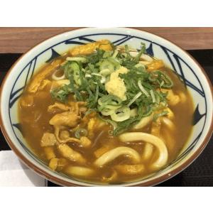創味のカレー 1kg(1000g) レトルトカ...の詳細画像2