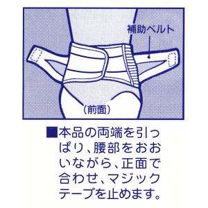 骨盤ベルト 腰痛コルセット (20cm巾) ギ...の詳細画像2