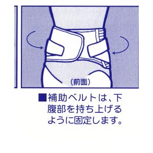 骨盤ベルト 腰痛コルセット (20cm巾) ギ...の詳細画像3