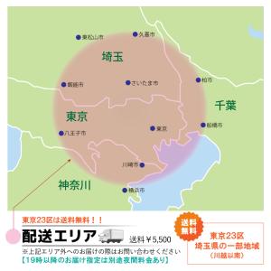 胡蝶蘭 BONUS対象 超豪華15本立ち 大輪...の詳細画像4