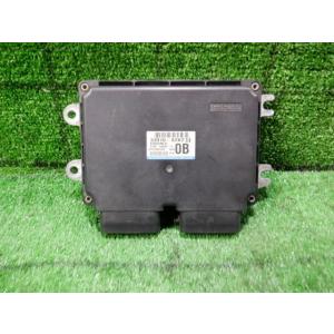 MHQさま Amazon | Bruce & Shark(ブルース・サメ) マグネト