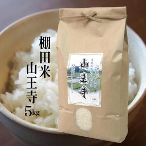 【白米】令和5年産 棚田米『山王寺』5kg 島根県雲南市大東町山王寺産コシヒカリ 日本の棚田百選認定　送料無料（一部地域除く）｜fujimoto-beikoku