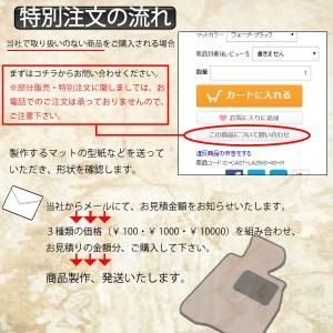 部分販売 特別注文オプション 100の詳細画像2
