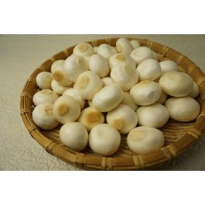 京都半兵衛麩 もち麩 35g｜fujimuraya