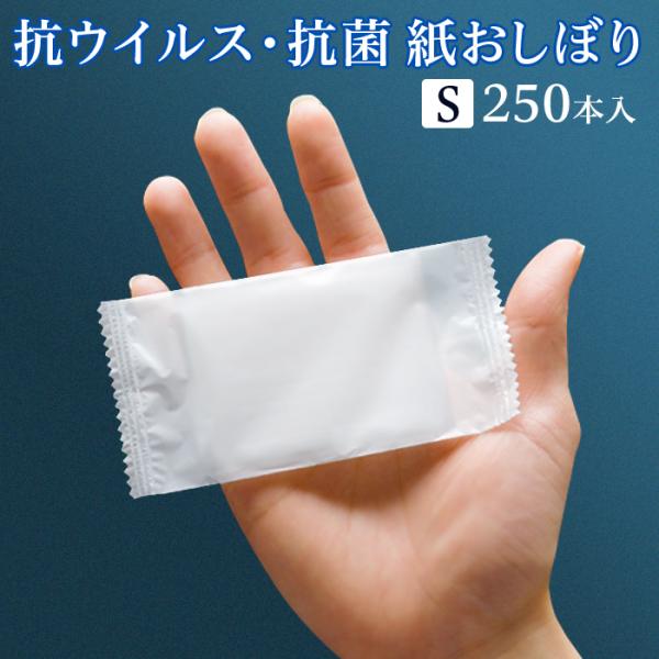 FSX 使い捨て 紙おしぼり 抗ウイルス抗菌 平型 SILKY シルキー Sサイズ 1パック 250...