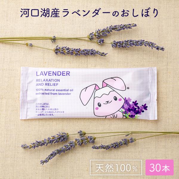 使い捨て 紙おしぼり 抗ウイルス抗菌 ふじぴょんおしぼり 河口湖ラベンダーの香り 30本 日本製 厚...