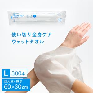 化粧品基準 FSX 使い捨て 紙おしぼり HAND＆BODY L 超大判ウェットタオル VB COSME 1ケース 300本 不織布 大判 厚手 業務用 送料無料｜fujinamisquare