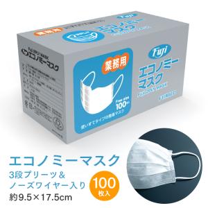 Fuji エコノミーマスク 100枚 箱入り二層マスク 耳掛けタイプ フリーサイズ 約95×175mm 大人用 衛生マスク 食品加工業 国内発送 業務用｜fujinamisquare