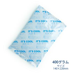 保冷剤 400グラム It's Cool(イッツクール) I-400 1ケース(40入) 業務用｜fujinamisquare