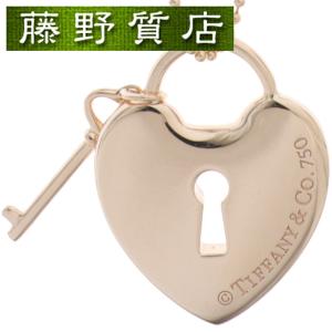 DG希少品❣️ロゴ 付き南京錠型ネックレス　ツートンカラー　お値打ち品❣️ DG希少品❣️ロゴ 付き南京錠型ネックレス ツートンカラー お