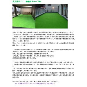 【40枚以上送料無料のご注文専用カート】人工芝...の詳細画像4