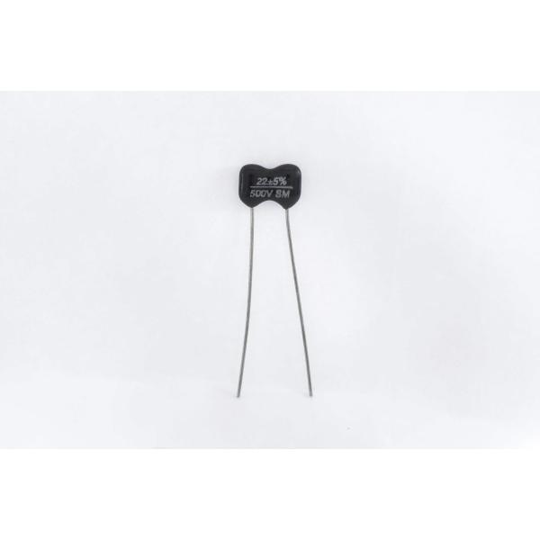 コンデンサ Capacitor - 500V, Silver Mica, ± 5%, 22 pF (...