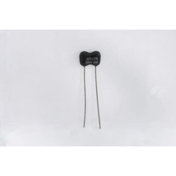 コンデンサ Capacitor - 500V, Silver Mica, ± 5%, 220 pF ...