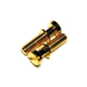 ブリッジ Replacement METRIC Tailpiece Mounting Studs (NO ANCHORS), Gold [送料170円から 同梱可]｜fujishima-ctm-gtr