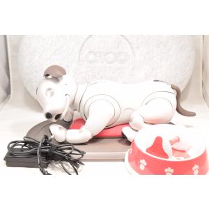 SONY（ソニー） aibo アイボ ペットロボット 家電 ERS-1000 ベーシック