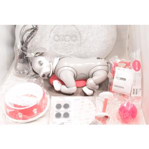 SONY（ソニー） aibo アイボ ペットロボット 家電 ERS-1000 ベーシック