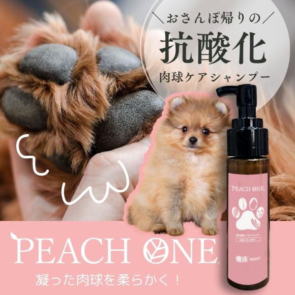 肉球ケアシャンプー　抗酸化泡ピーチワン【PEACH ONE】愛犬用　保湿できる毎日使える無添加シャン...