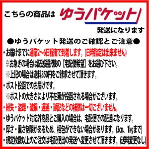 アールズコート シューレース 4mm幅 Ear...の詳細画像3