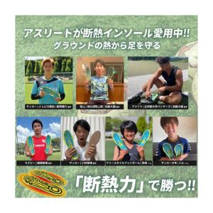 アクティバイタル 断熱インソールアルミプラス ...の詳細画像1