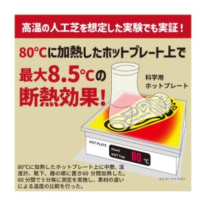 アクティバイタル 断熱インソールアルミプラス ...の詳細画像2