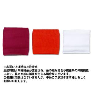 フジスポ リンクバンド NEO FUJISPO...の詳細画像3