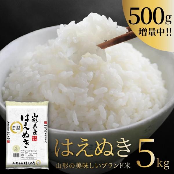 お米 コメ はえぬき 5.5kg 5kg+500g 増量 精米 送料無料 山形県産 令和7年産 令和...
