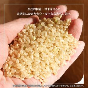 雪若丸 30kg 送料無料 お米 コメ 山形県...の詳細画像2