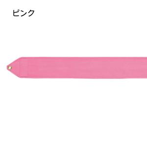 ササキ SASAKI 新体操 レーヨンジュニア...の詳細画像3