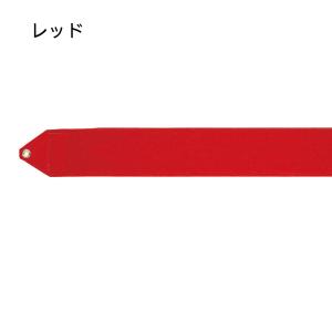 ササキ SASAKI 新体操 レーヨンジュニア...の詳細画像1